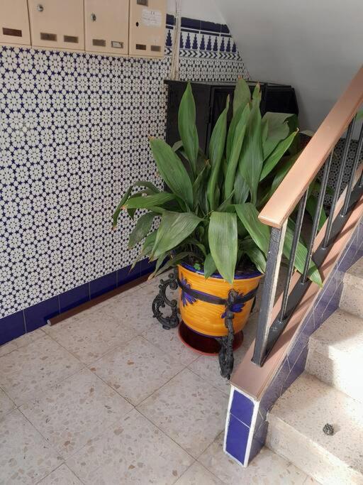 Disfruta De Un Barrio Tranquilo Apartamento Alcalá de Guadaira Exterior foto